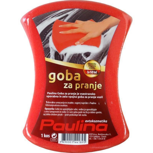 SPUŽVICA ZA PRANJE PAULINA 3830001441895