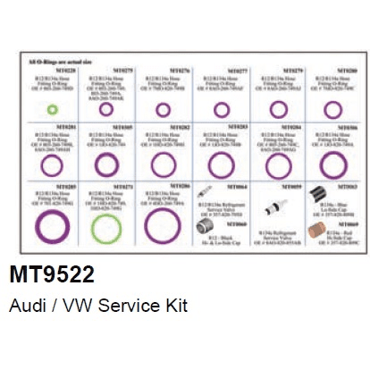 SET BRTVI MT9522 AUDI - VW / LJUBIČASTE SVIJETLE BOJE, 15 RAZLIČITIH BRTVI + 5 VENTILA, POKLOPAC